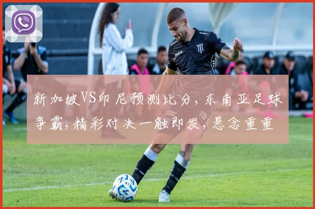 新加坡VS印尼预测比分,东南亚足球争霸,精彩对决一触即发,悬念重重