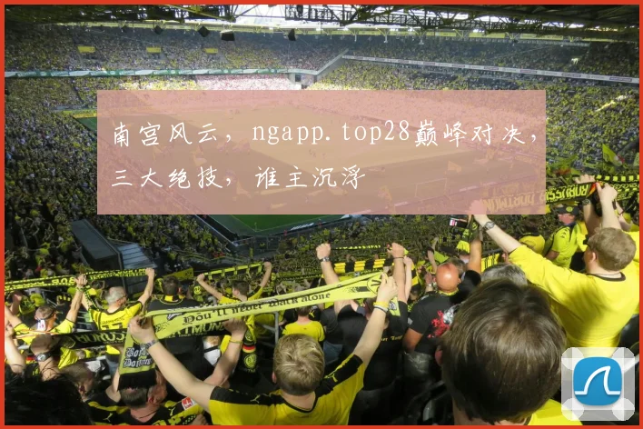 南宫风云，ngapp.top28巅峰对决，三大绝技，谁主沉浮