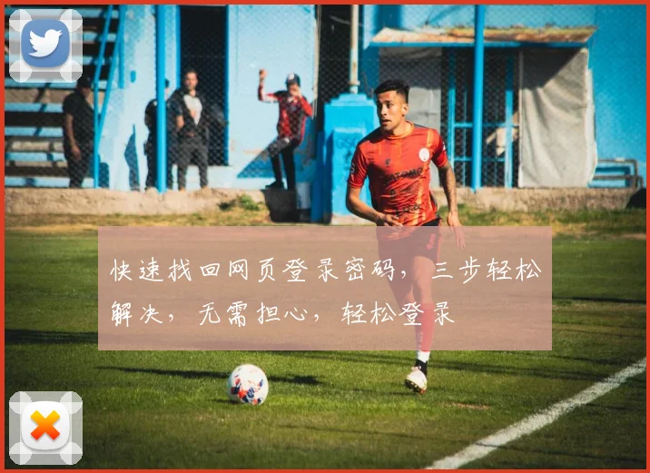 快速找回网页登录密码，三步轻松解决，无需担心，轻松登录