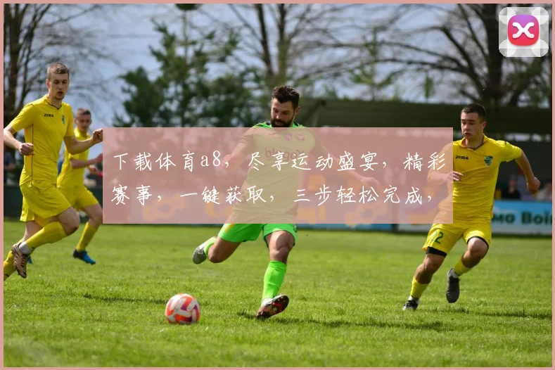 下载体育a8，尽享运动盛宴，精彩赛事，一键获取，三步轻松完成，体验非凡