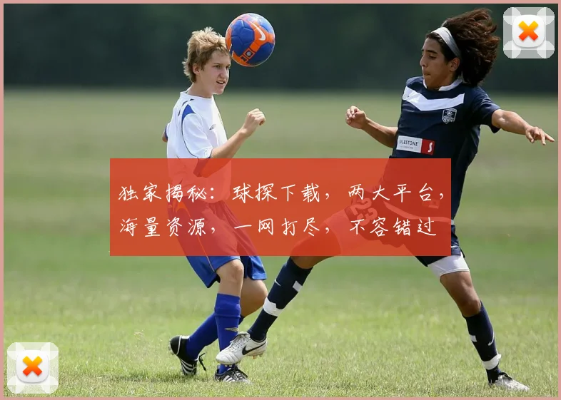 独家揭秘：球探下载，两大平台，海量资源，一网打尽，不容错过