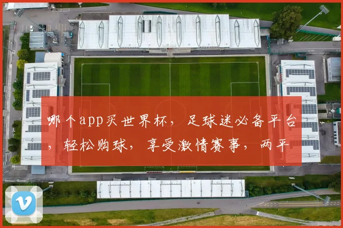 哪个app买世界杯，足球迷必备平台，轻松购球，享受激情赛事，两平台任选，你更喜欢哪个